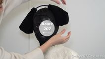 sn31_013.jpg thumbnail