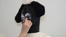 sn31_016.jpg thumbnail