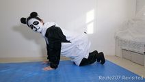 sn31_028.jpg thumbnail