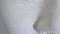 kw05_008.jpg thumbnail