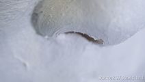 kw05_009.jpg thumbnail