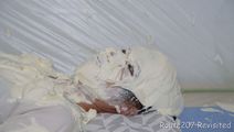 pt54_018.jpg thumbnail